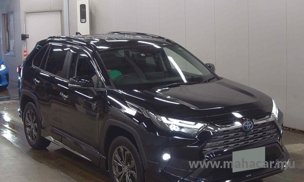2022 Toyota Rav4, Black