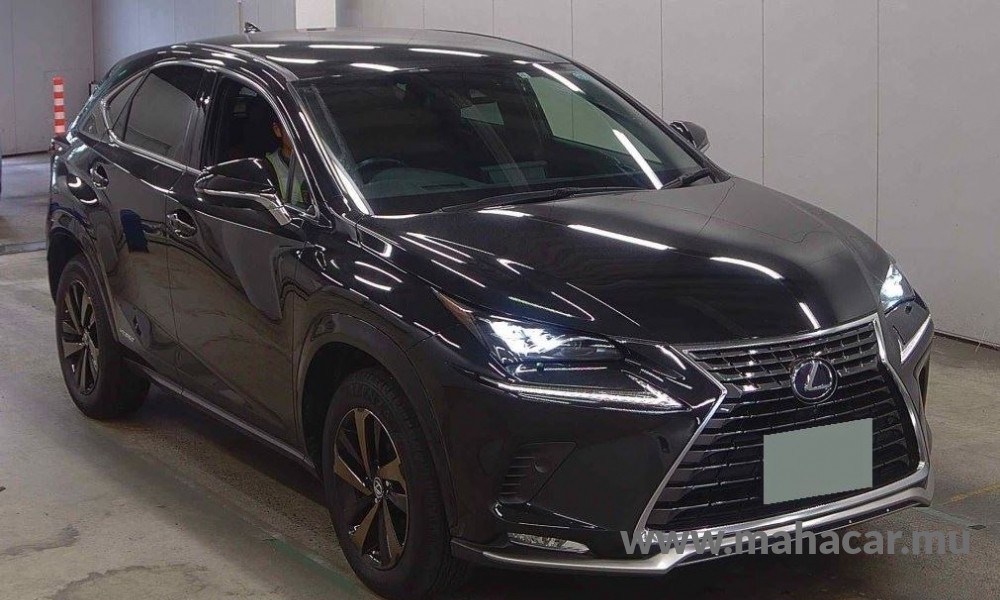 2020 Toyota LEXUS photo 5