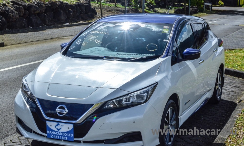 2019 Nissan Leaf X-V photo 2