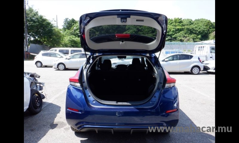 2020 Nissan Leaf X-V photo 14