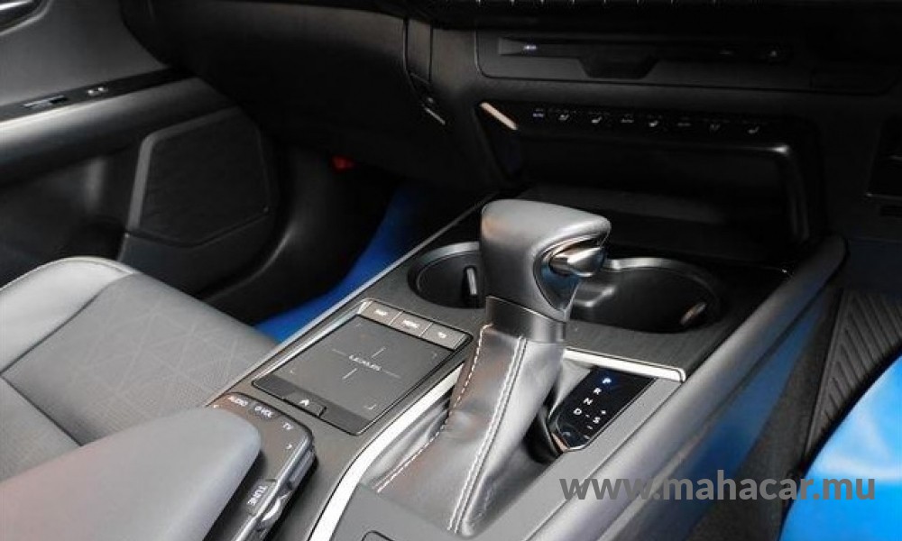2020 Toyota LEXUS photo 9