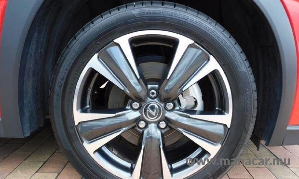 2020 Toyota LEXUS photo 12
