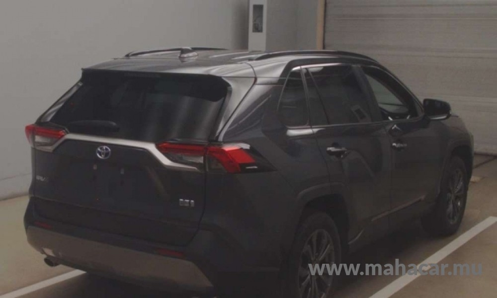 2023 Toyota Rav4, GREY