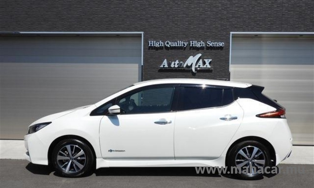 2019 Nissan Leaf X-V photo 4