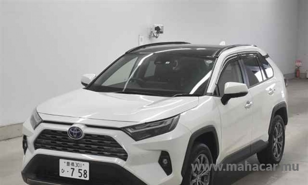 2022 Toyota Rav4, White