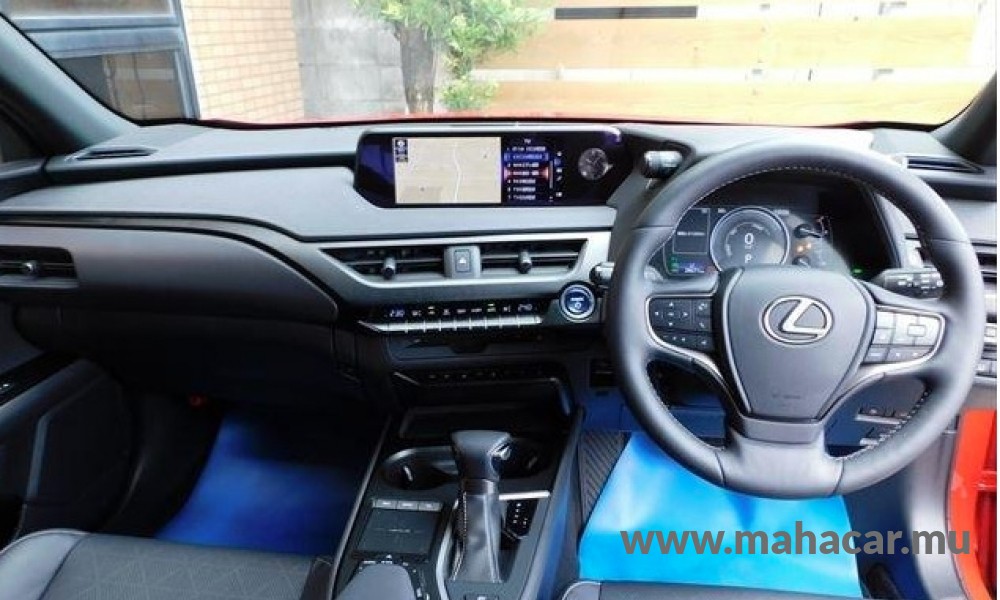 2020 Toyota LEXUS photo 13