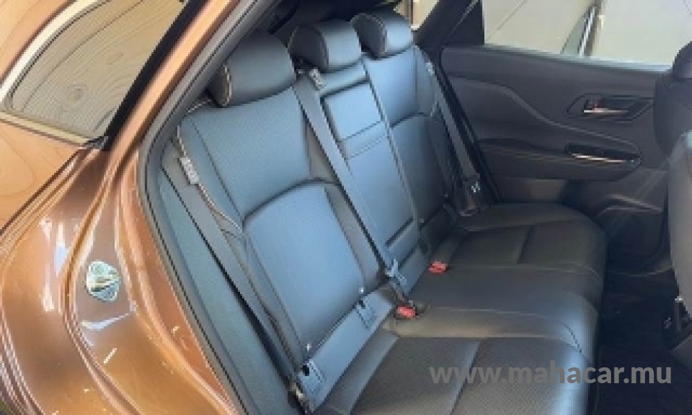 2023 Toyota Crown photo 11