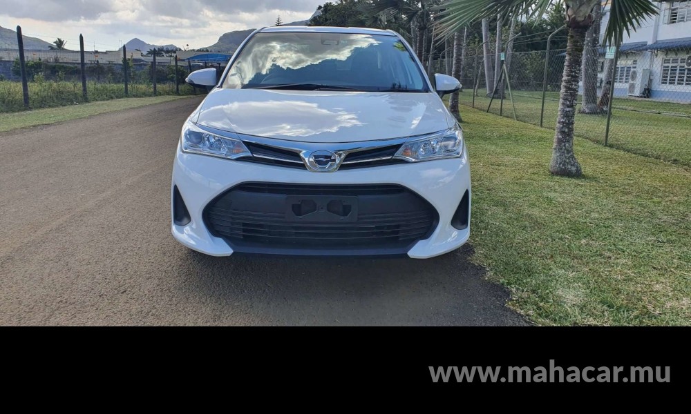 2019 Toyota Corolla Axio photo 14