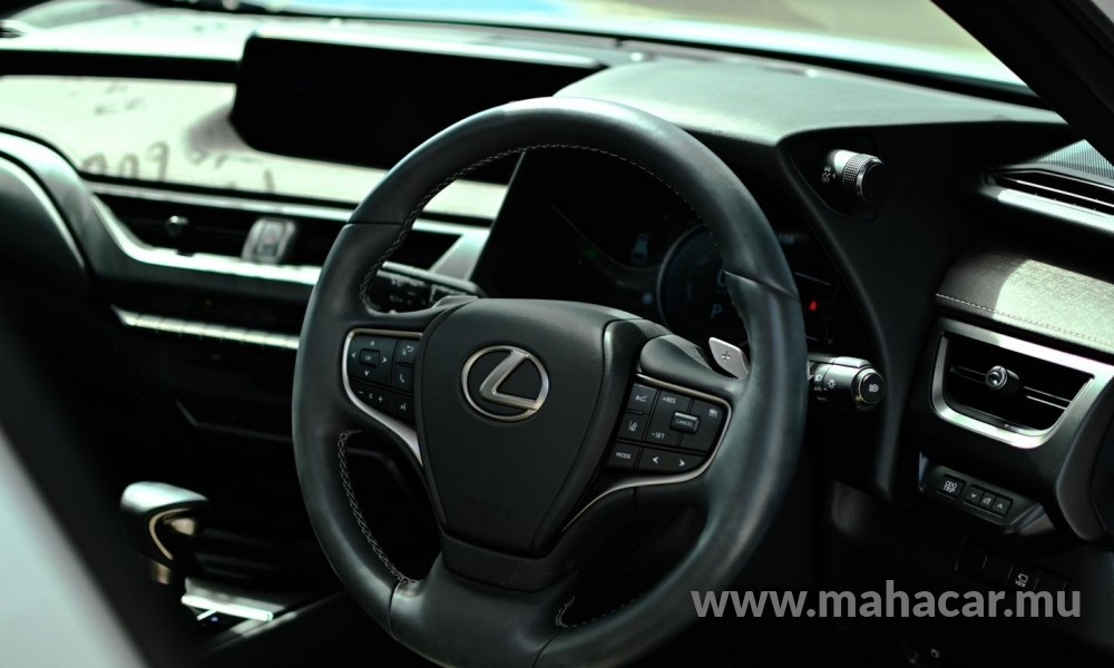 2021 Toyota LEXUS photo 13