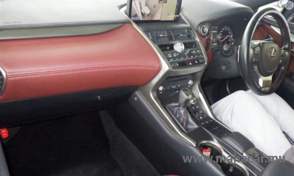 2020 Toyota LEXUS photo 4