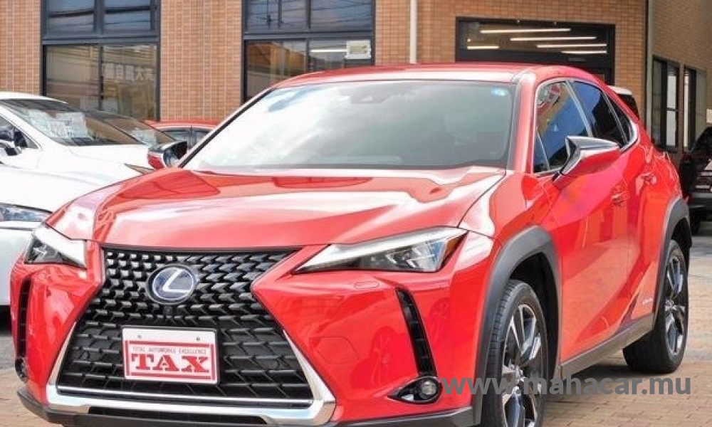 2020 Toyota LEXUS, Red