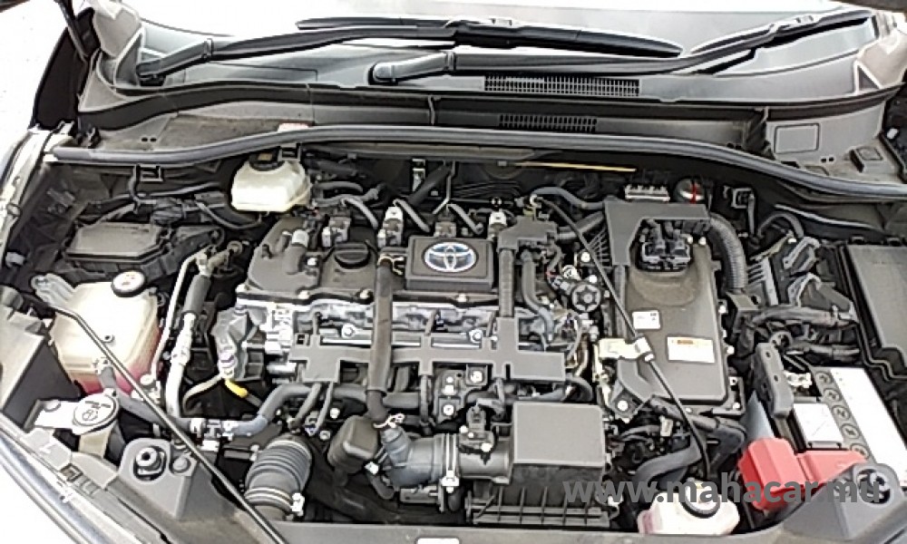 2019 Toyota CHR photo 6