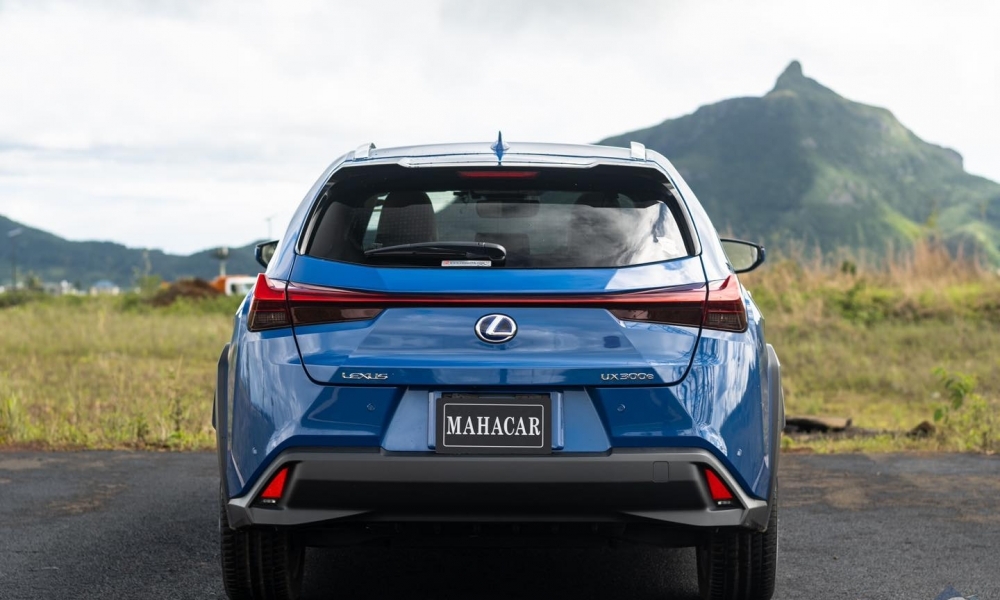 2021 LEXUS UX 300e photo 11