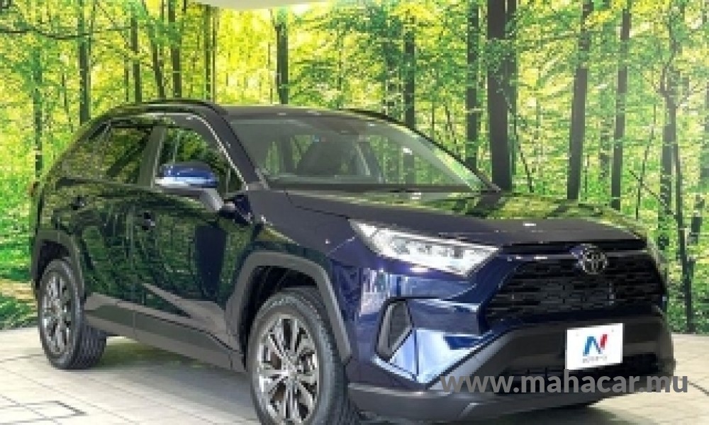 2022 Toyota Rav4 photo 6