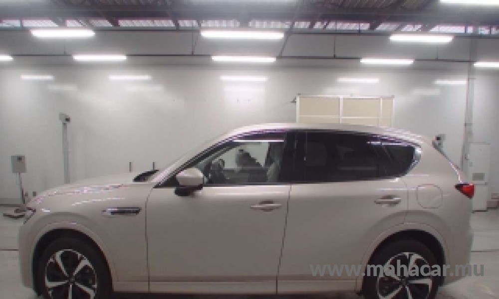 2022 Mazda CX-60 photo 5