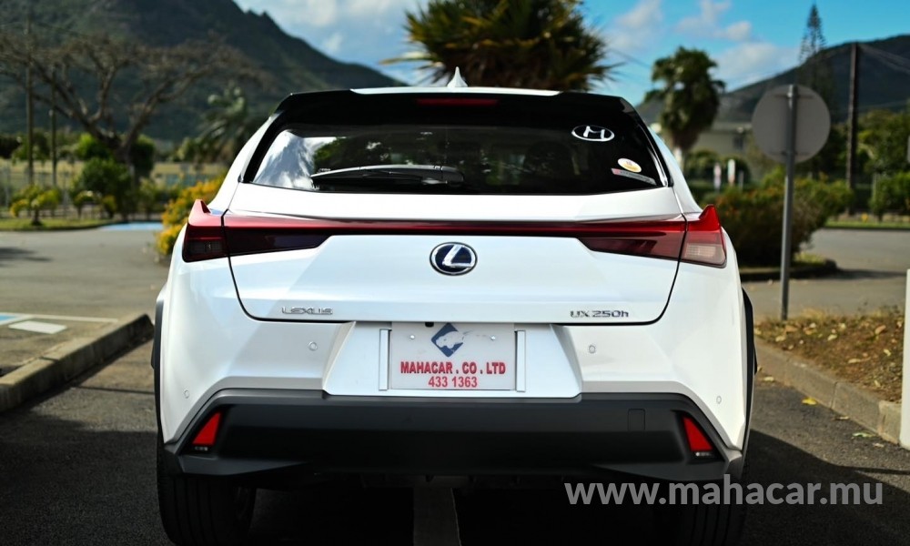 2021 Toyota LEXUS photo 15