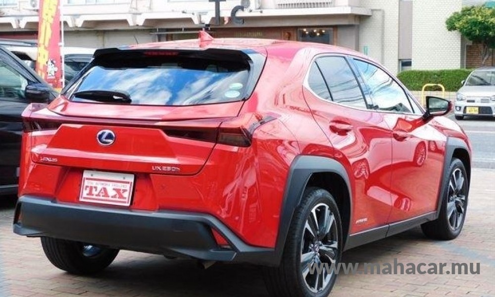 2020 Toyota LEXUS photo 11