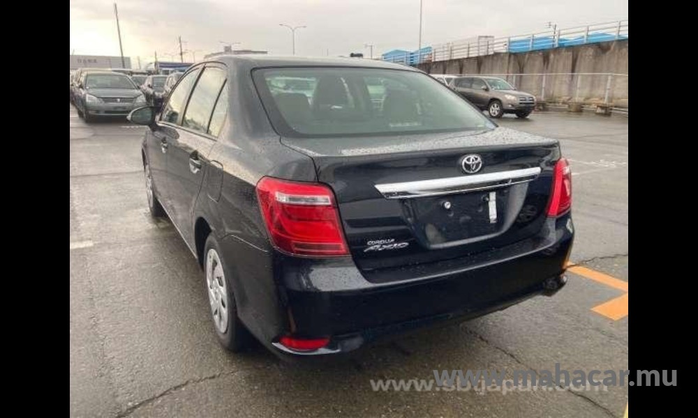 2018 Toyota Corolla Axio photo 8