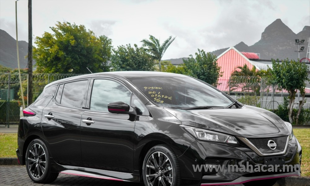 2019 Nissan Leaf Nismo photo 2