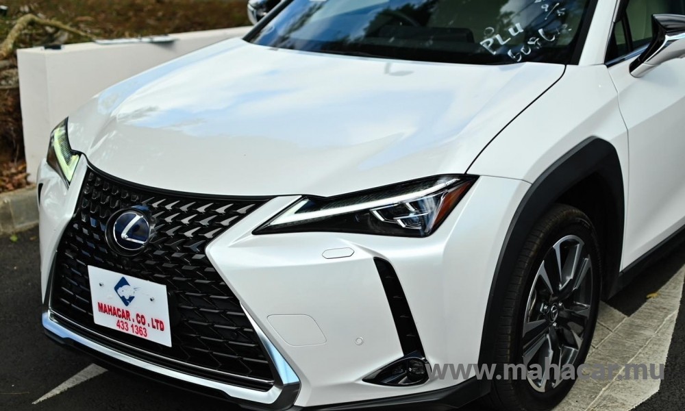 2021 Toyota LEXUS photo 3