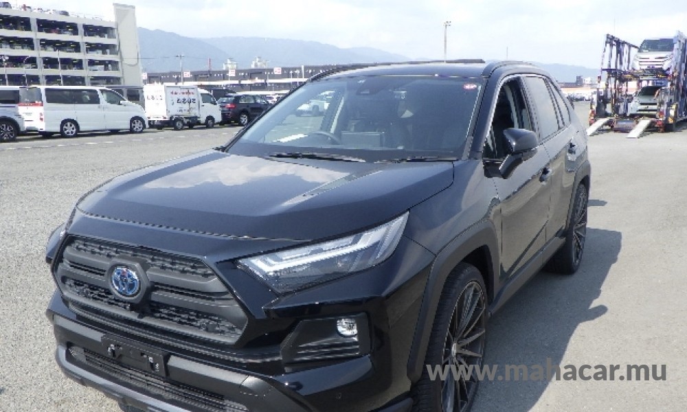 2022 Toyota Rav4, Black