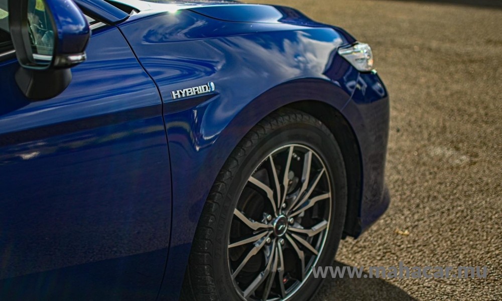 2019 Toyota Camry photo 2