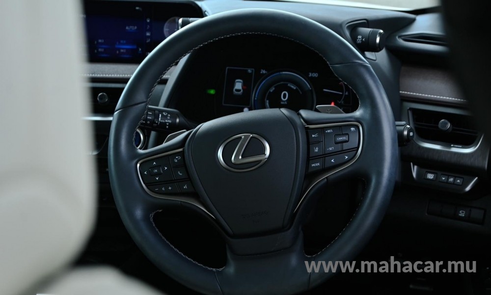 2021 Toyota LEXUS photo 11