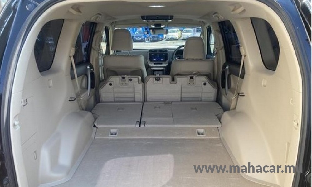 2021 Toyota Land Cruiser  Prado photo 7