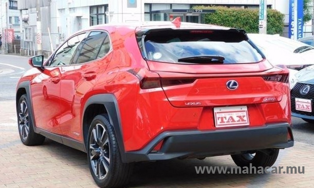 2020 Toyota LEXUS photo 15