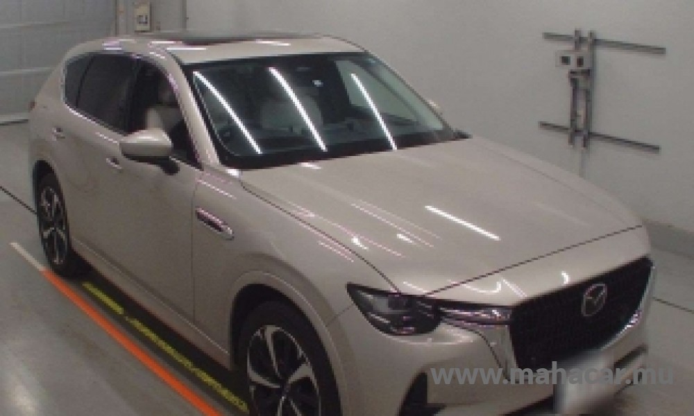 2022 Mazda CX-60 photo 4