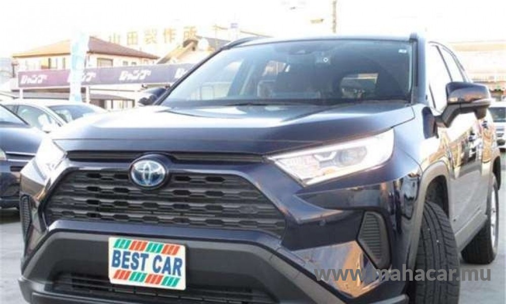 2021 Toyota Rav4, Blue