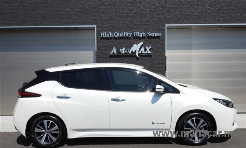 2019 Nissan Leaf X-V photo 9