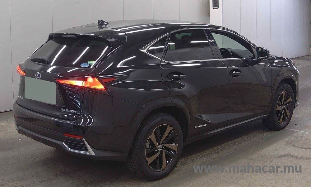 2020 Toyota LEXUS photo 3