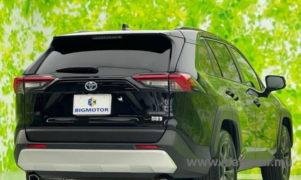 2022 Toyota Rav4 photo 9