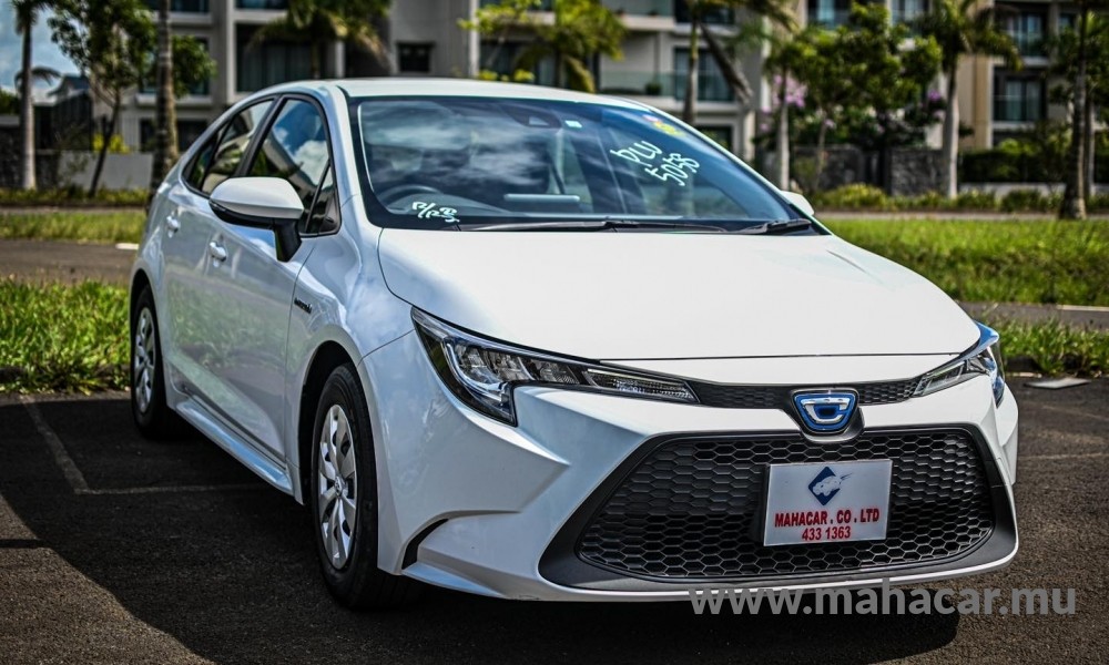 2019 Toyota Corolla photo 2