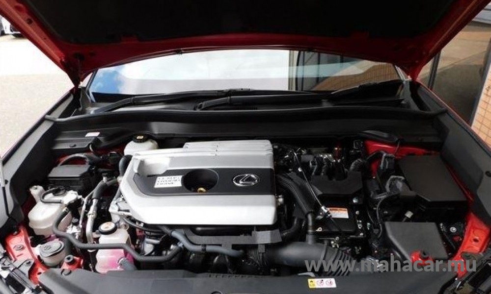 2020 Toyota LEXUS photo 3