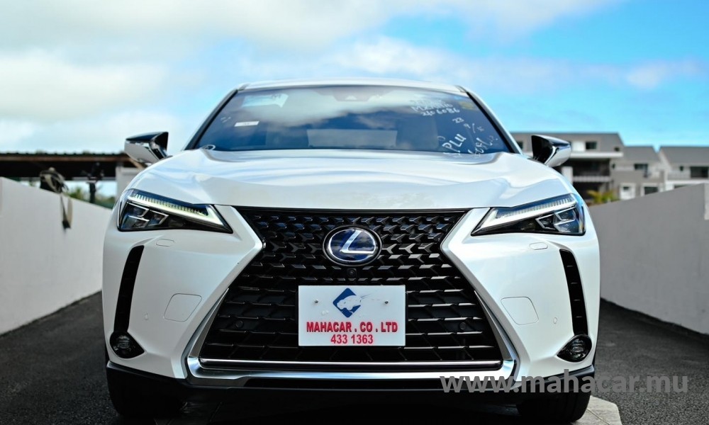 2021 Toyota LEXUS photo 2