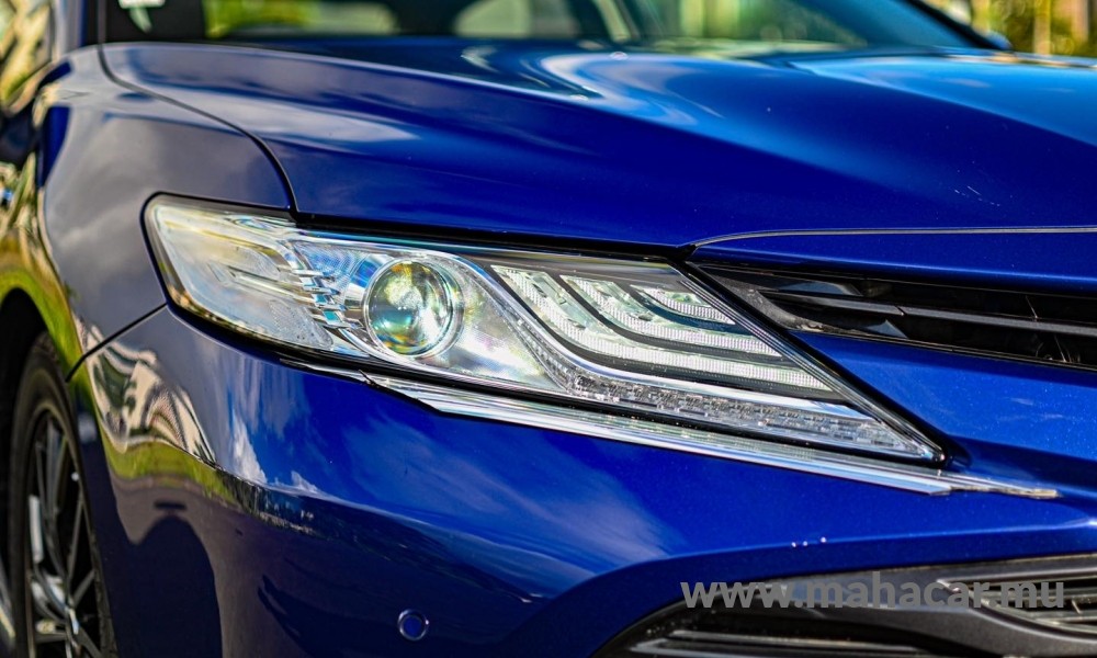 2019 Toyota Camry photo 3