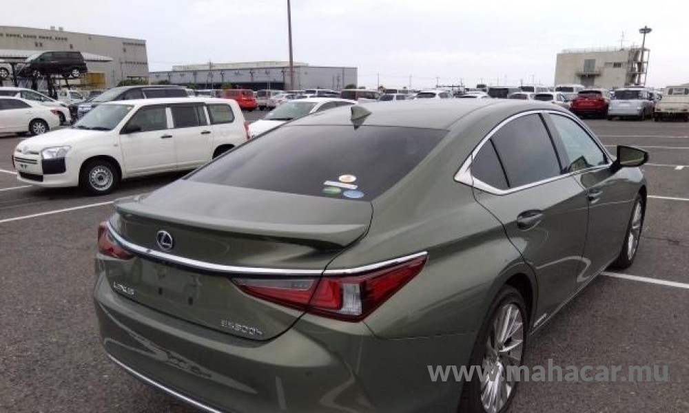 2020 Toyota LEXUS photo 2
