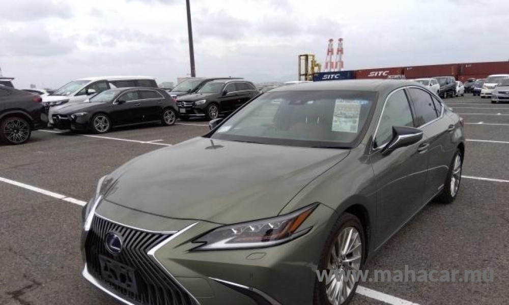 2020 Toyota LEXUS, Green