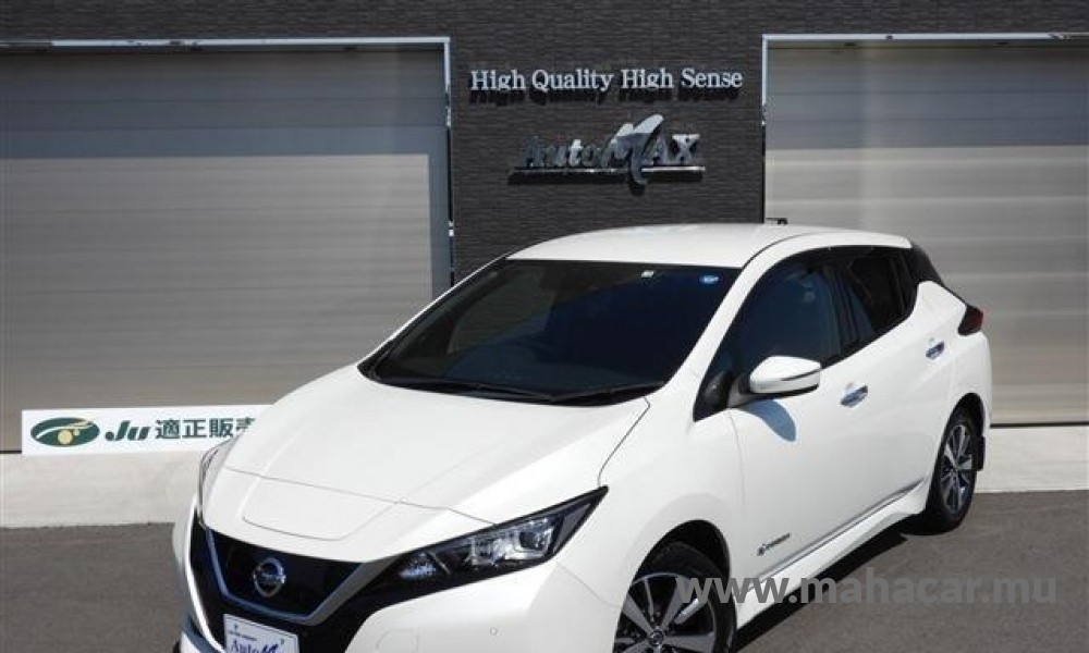 2019 Nissan Leaf X-V, White