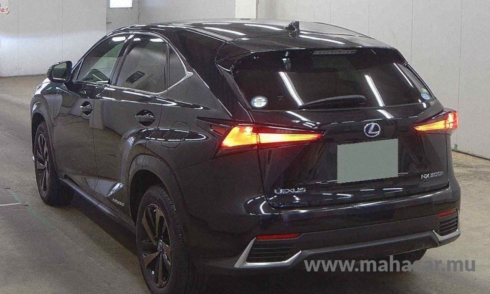 2020 Toyota LEXUS photo 2