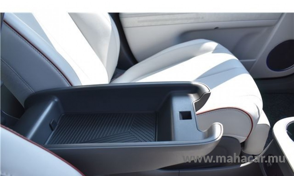 2023 Hyundai IONIC 5 photo 10