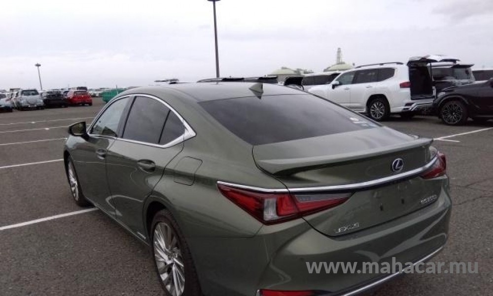 2020 Toyota LEXUS photo 7