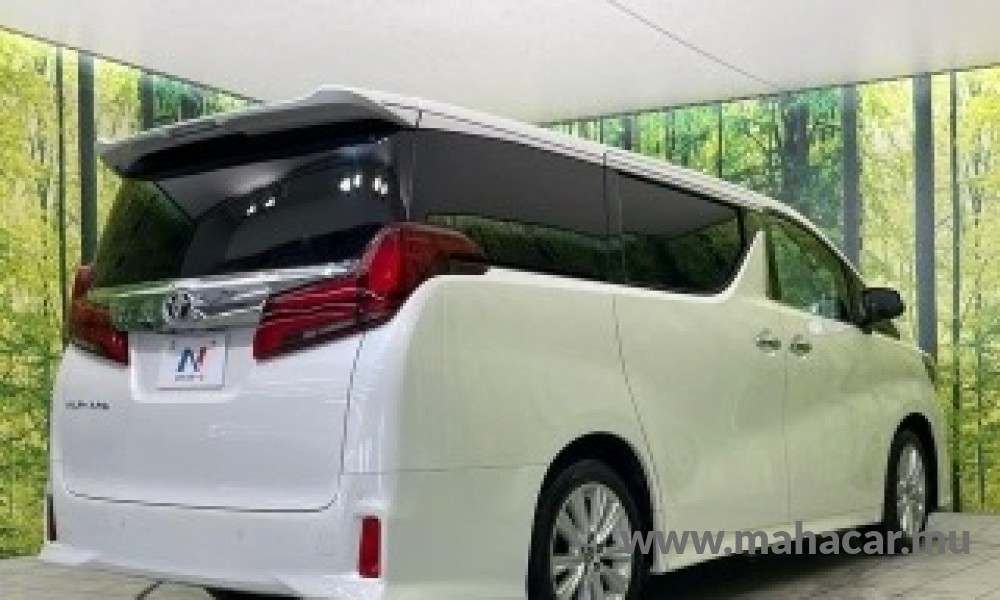 2022 Toyota Alphard photo 10
