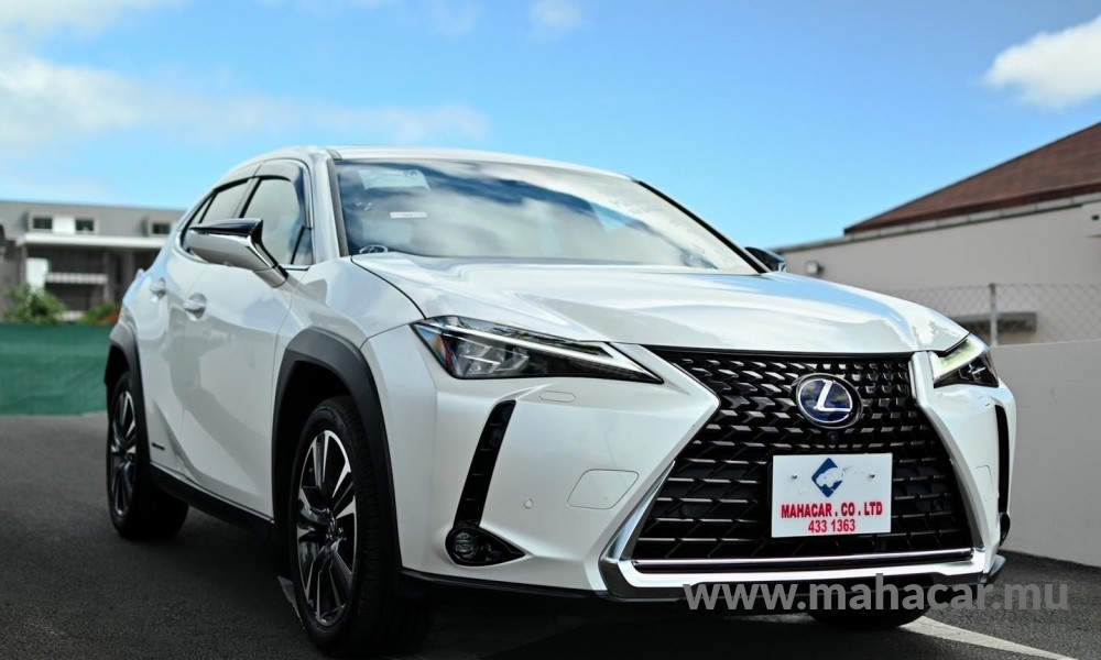 2021 Toyota LEXUS photo 4