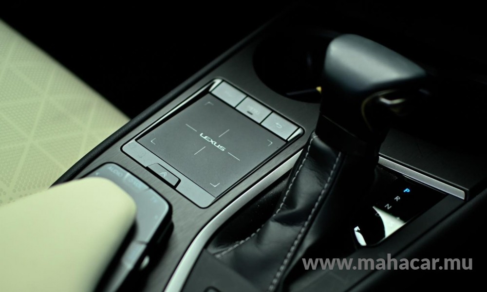 2021 Toyota LEXUS photo 7