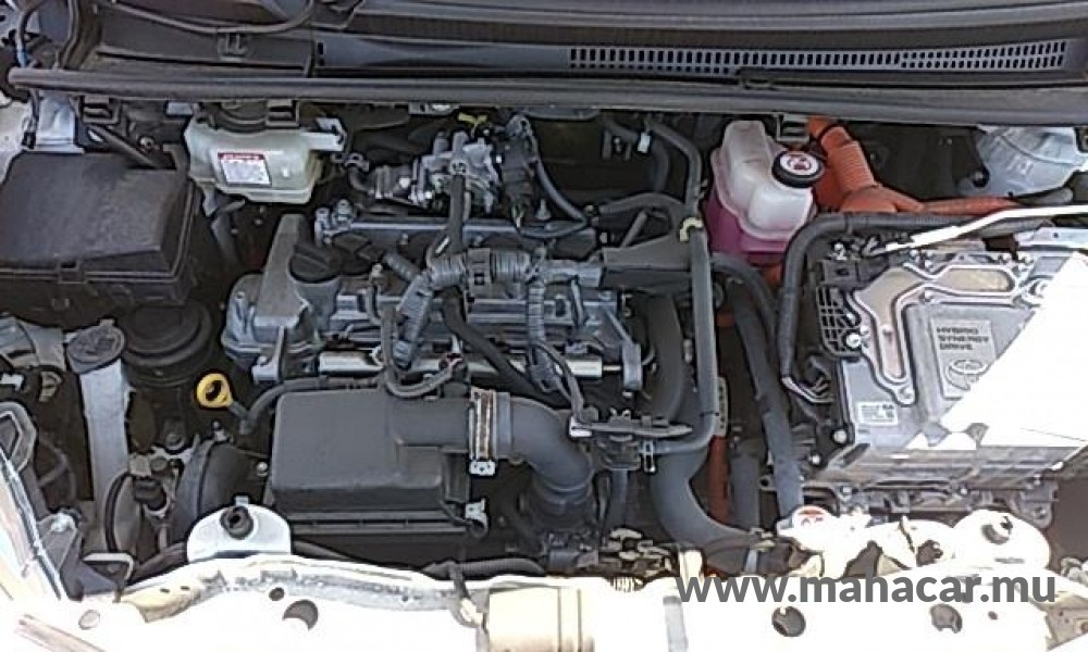2019 Toyota VITZ HYBRID F photo 12