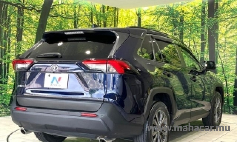 2022 Toyota Rav4 photo 2