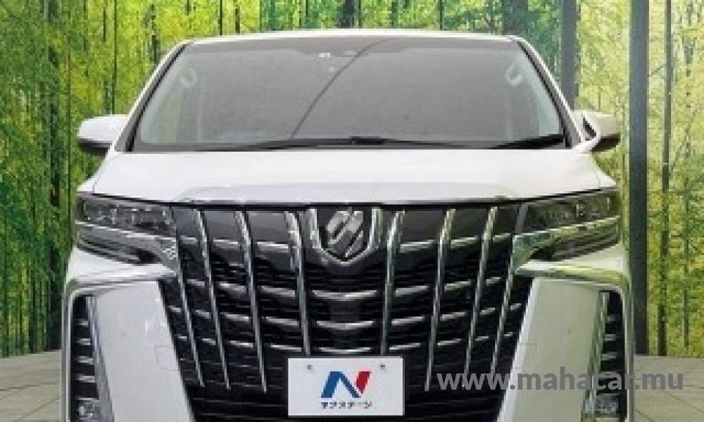 2022 Toyota Alphard photo 11